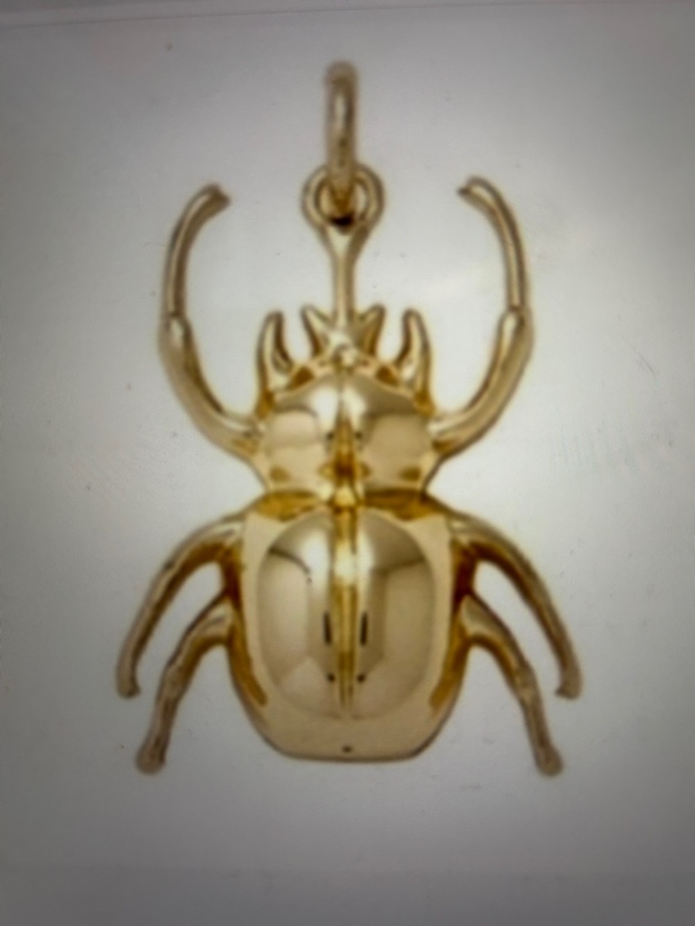 India Hicks Indi pendant/charm good luck beetle/brand new